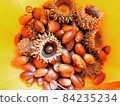 Various types of acorns 84235234