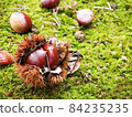 Chestnuts and moss 84235235
