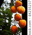 Dried persimmon 84235237