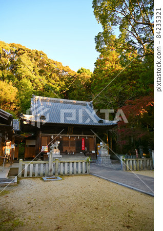 愛知縣豐田市鬆平鄉鬆平東照宮 84235321