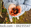 Child acorn 84235547