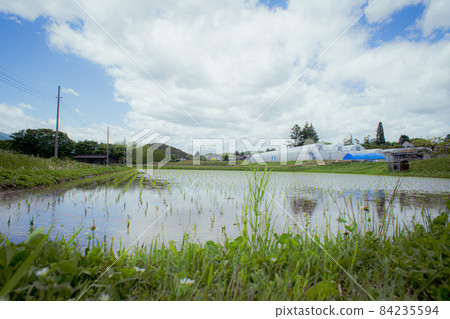 A rural irrigation canal that flows in early summer 84235594