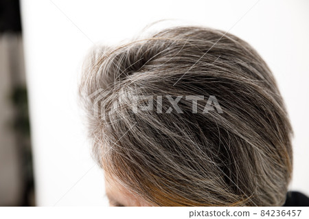 白髮前輩 84236457