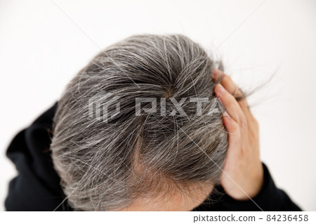 白髮前輩 白髮前輩 84236458