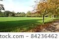 Autumn park lawn and road 84236462