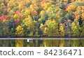 Autumn leaves and lake 84236471