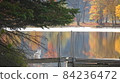 Cats, lakes and autumn leaves 84236472