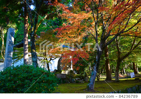 鬆平鄉鬆平東照宮秋季豐田市 鬆平鄉鬆平東照宮秋季豐田市 84236789