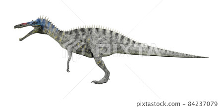 Suchomimus ☆ Suchomimus 84237079