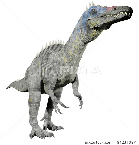 Suchomimus ☆ Suchomimus Suchomimus ☆ Suchomimus 84237087