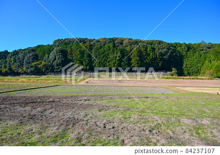 Nagashino Battle Shitarahara Horse Fence Shinshiro City 84237107