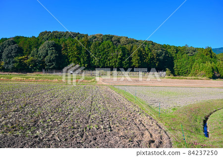 長筱之戰 Shitarahara 馬柵欄 愛知縣新城市 84237250