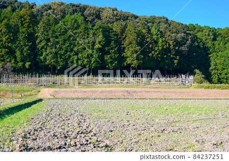 Nagashino Battle Shitarahara Horse Fence Shinshiro City, Aichi Prefecture Nagashino Battle Shitarahara Horse Fence Shinshiro City, Aichi Prefecture 84237251
