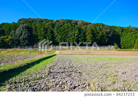 The fierce battlefield of the Battle of Nagashino, Shitarahara, Horse Fence, Shinshiro City 84237253