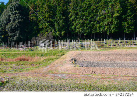 The fierce battlefield of the Battle of Nagashino, Shitarahara, Horse Fence, Shinshiro City 84237254