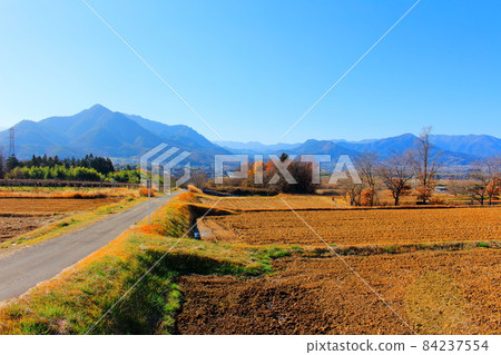 信州美麗的秋葉 Part 2111 84237554