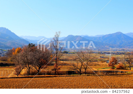 Beautiful autumn leaves of Shinshu Part 2111 Beautiful autumn leaves of Shinshu Part 2111 84237562