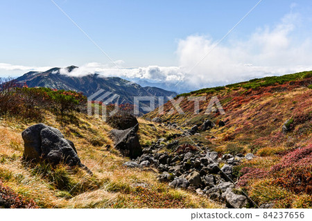 Autumn of Hakusan Murododaira Autumn of Hakusan Murododaira 84237656