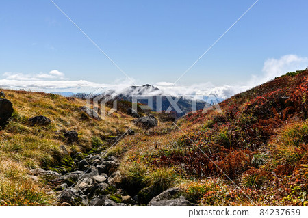 Autumn of Hakusan Murododaira Autumn of Hakusan Murododaira 84237659