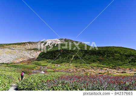 Autumn of Hakusan Murododaira 84237665