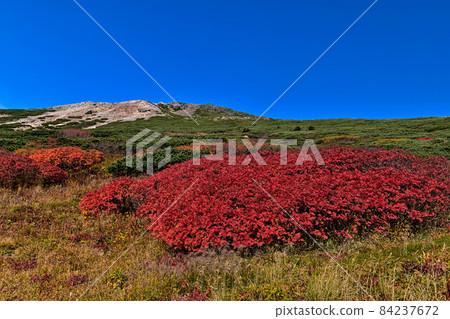 Autumn of Hakusan Murododaira Autumn of Hakusan Murododaira 84237672