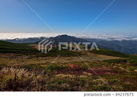 白山室堂平的秋天 白山室堂平的秋天 84237675