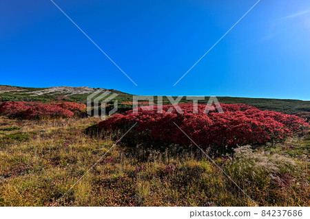 Autumn of Hakusan Murododaira 84237686