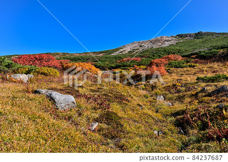 Autumn of Hakusan Murododaira 84237687