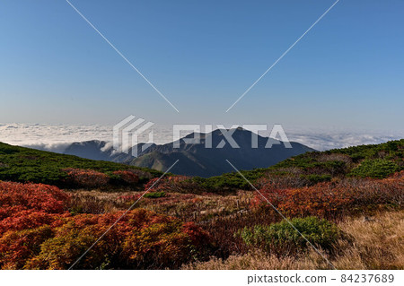 Autumn of Hakusan Murododaira 84237689