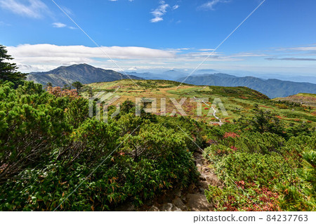 Autumn of Hakusan Murododaira Autumn of Hakusan Murododaira 84237763