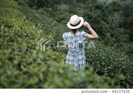 Happy woman tourist in blue dress and hat enjoy beautiful Tea garden.Traveler visiting in green natural hills in morning. travel, vacation, trip and journey concept 84237830