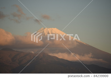 [Mt. Fuji] November 24 (2021) Taken from Kannami Town, Shizuoka Prefecture 19 84239900