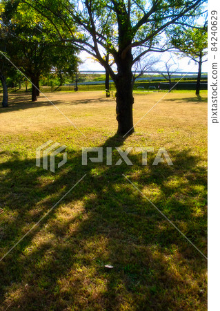 佐賀縣立森林公園，秋色 84240629