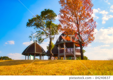 佐賀縣立森林公園，秋色 84240637