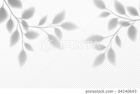 Realistic transparent shadow of a tree branch with leaves isolated on a transparent background. Vector illustration 84240693