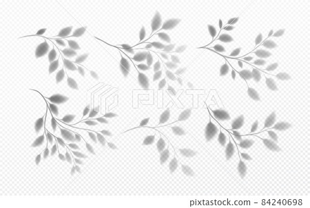 Set of Realistic transparent shadow of a tree branch with leaves isolated on a transparent background. Vector illustration 84240698