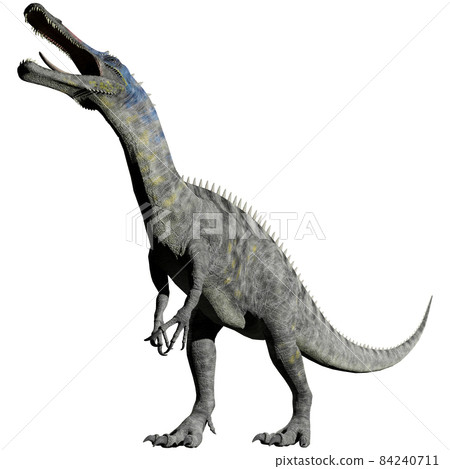 Suchomimus ☆ Suchomimus Suchomimus ☆ Suchomimus 84240711