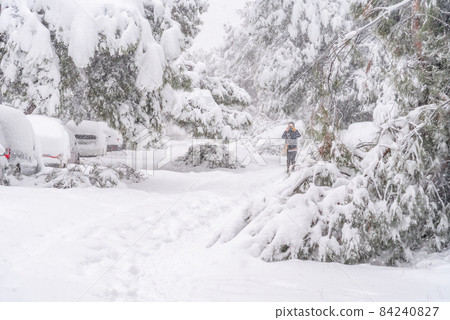 View of a city street covered in snow during heavy snowfall with fallen trees View of a city street covered in snow during heavy snowfall with fallen trees 84240827