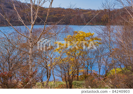 （群馬縣）赤城山/小沼湖岸邊一點初秋 84240903