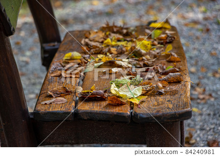 A bench in the autumn park covered with fallen leaves A bench in the autumn park covered with fallen leaves 84240981