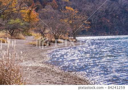 (Gunma Prefecture) Akagiyama / Konuma Early autumn (Gunma Prefecture) Akagiyama / Konuma Early autumn 84241259