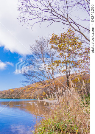 (Gunma Prefecture) Akagiyama / Konuma Early autumn (Gunma Prefecture) Akagiyama / Konuma Early autumn 84241296