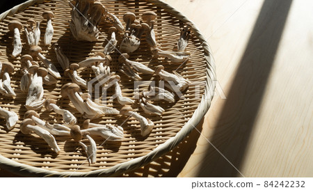 Bunashimeji|Zaru de 曬乾的圖像 Bunashimeji|Zaru de 曬乾的圖像 84242232