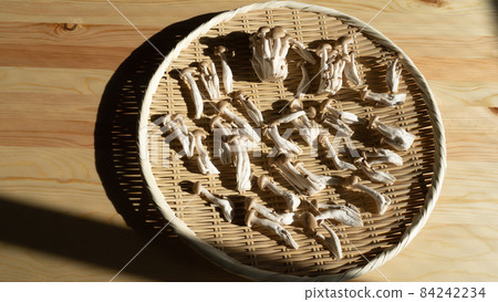 Bunashimeji | Zaru de sun-dried image Bunashimeji | Zaru de sun-dried image 84242234