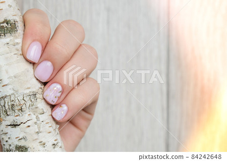 Closeup elegant pastel natural modern design manicure. Female hands holding Tree Trunk. Gel nails. Nude manicure. Beige color. Skin care. Beauty. Nail care 84242648
