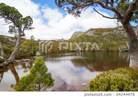 搖籃山鴿子湖 84244478