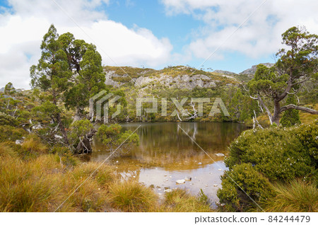 搖籃山大自然 84244479