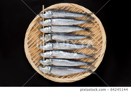 瞄準真正的沙丁魚 84245144