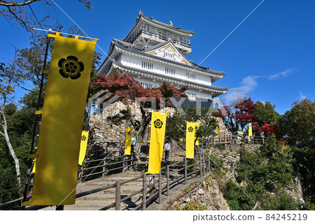 Gifu Castle in the blue sky castle tower and walls Gifu Castle in the blue sky castle tower and walls 84245219
