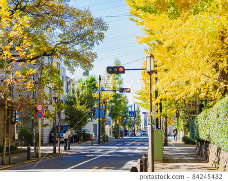 Autumn in a residential area Seijo 84245482